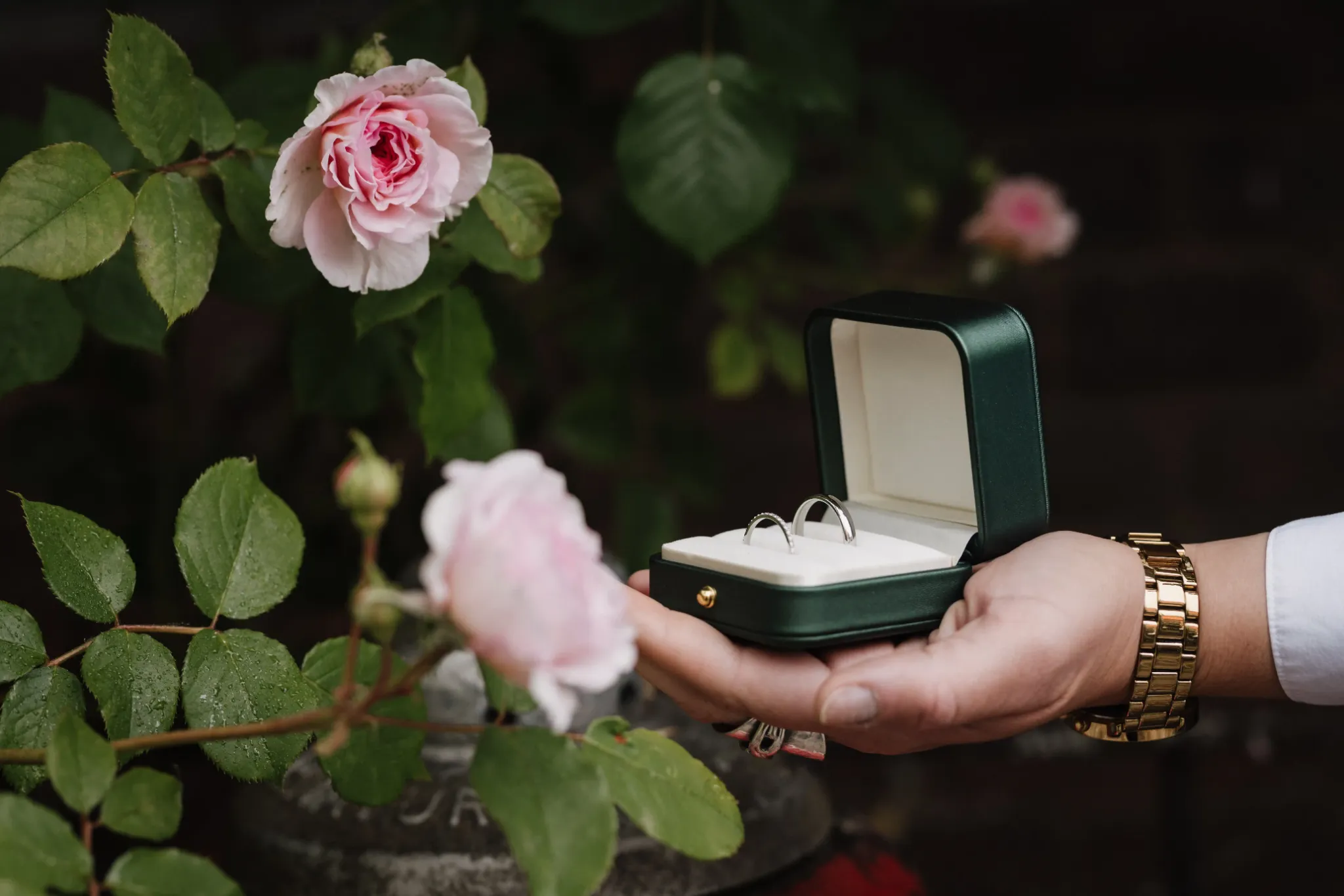 Eine Hand hält eine offene Ringschachtel neben rosa Rosen.